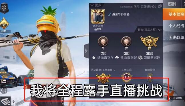 和平精英《天之蓝》辅助